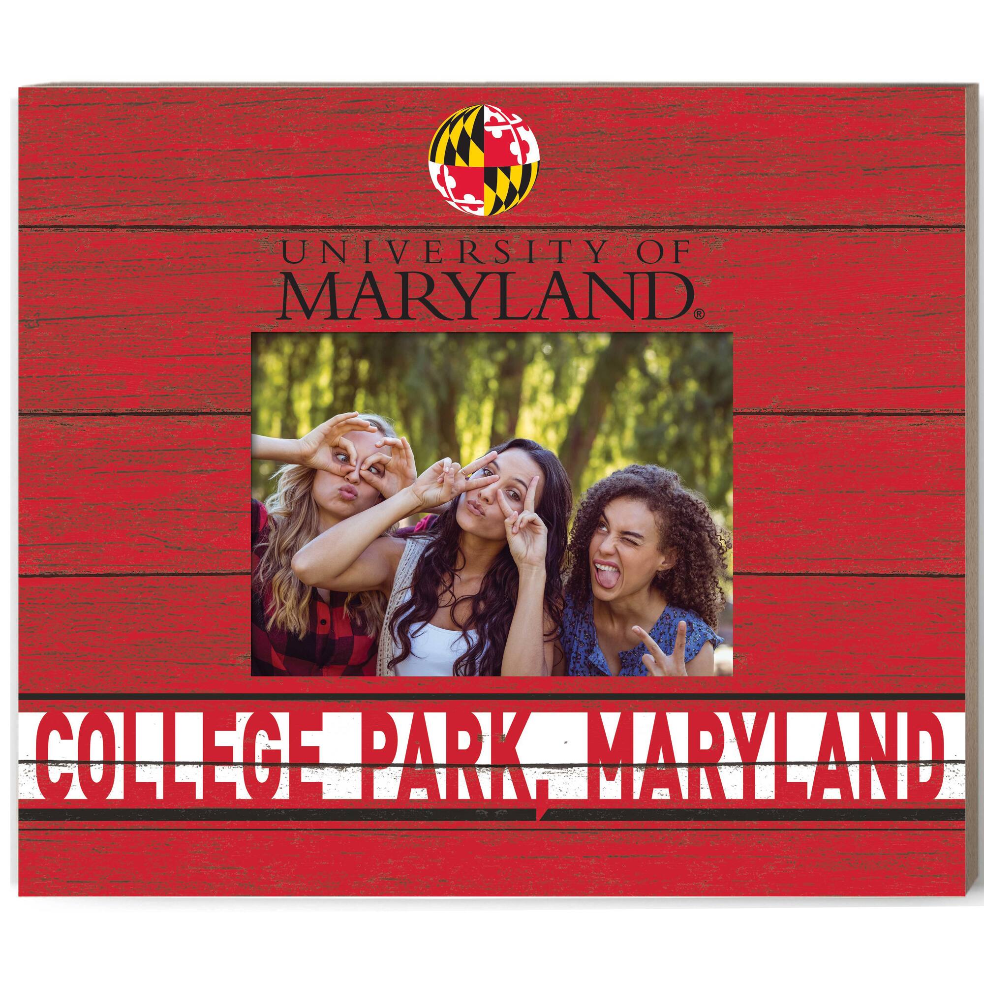 UNIVERSITY OF MARYLAND  
COLLEGE PARK, MARYLAND