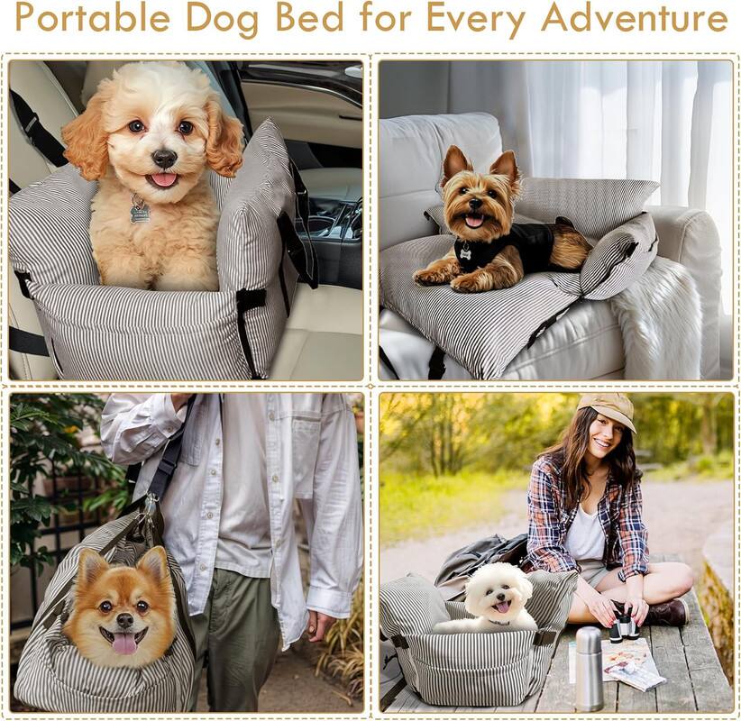 Portable Dog Bed for Every Adventure