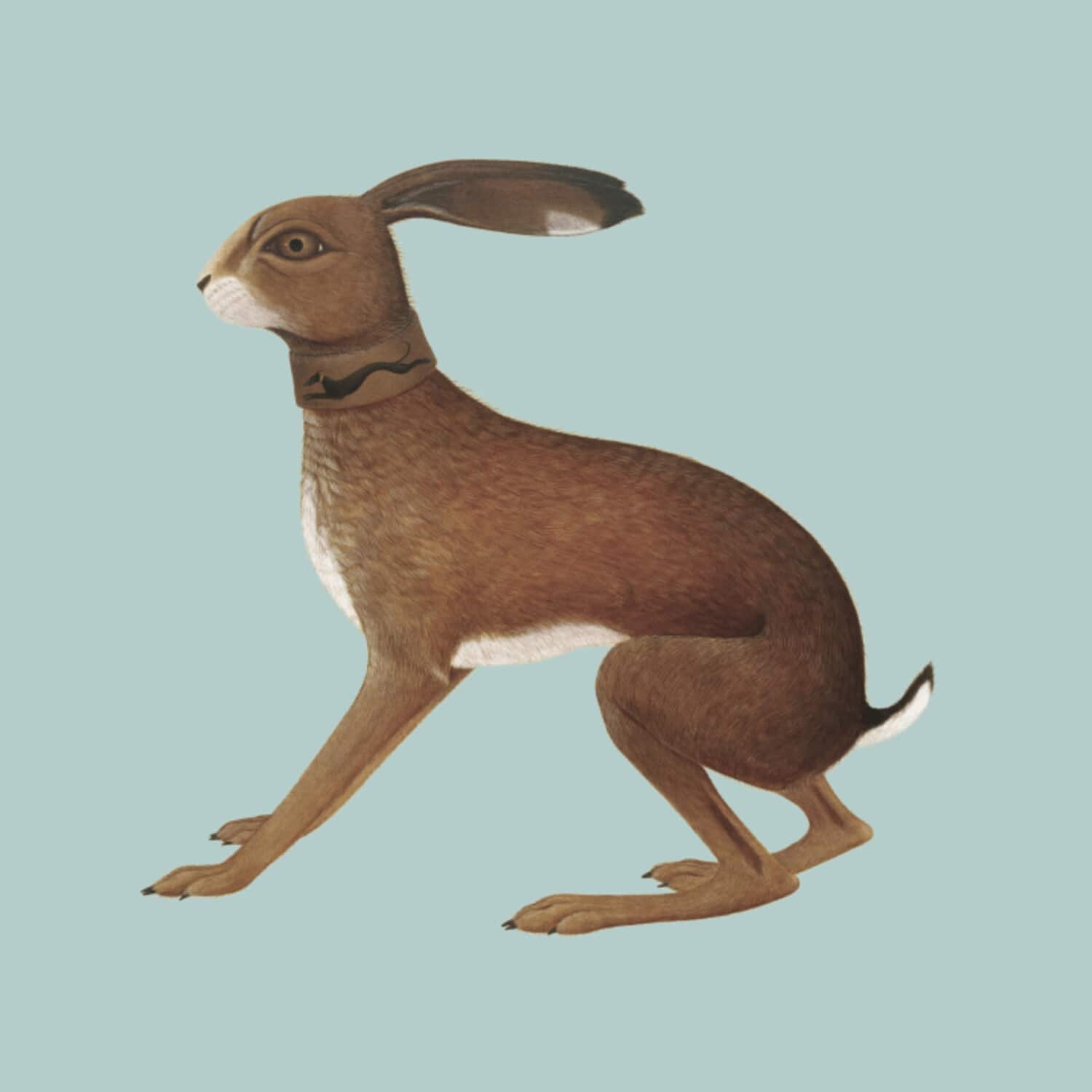 Vashti Bunyan - Lookaftering - Expanded  - COMPACT DISCS