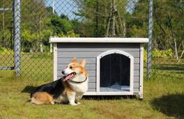 Siljoy - Grey Medium Cedar Dog House, Waterproof Asphalt Roof, Elevated Floor & PVC Curtain for Up to 70 lbs