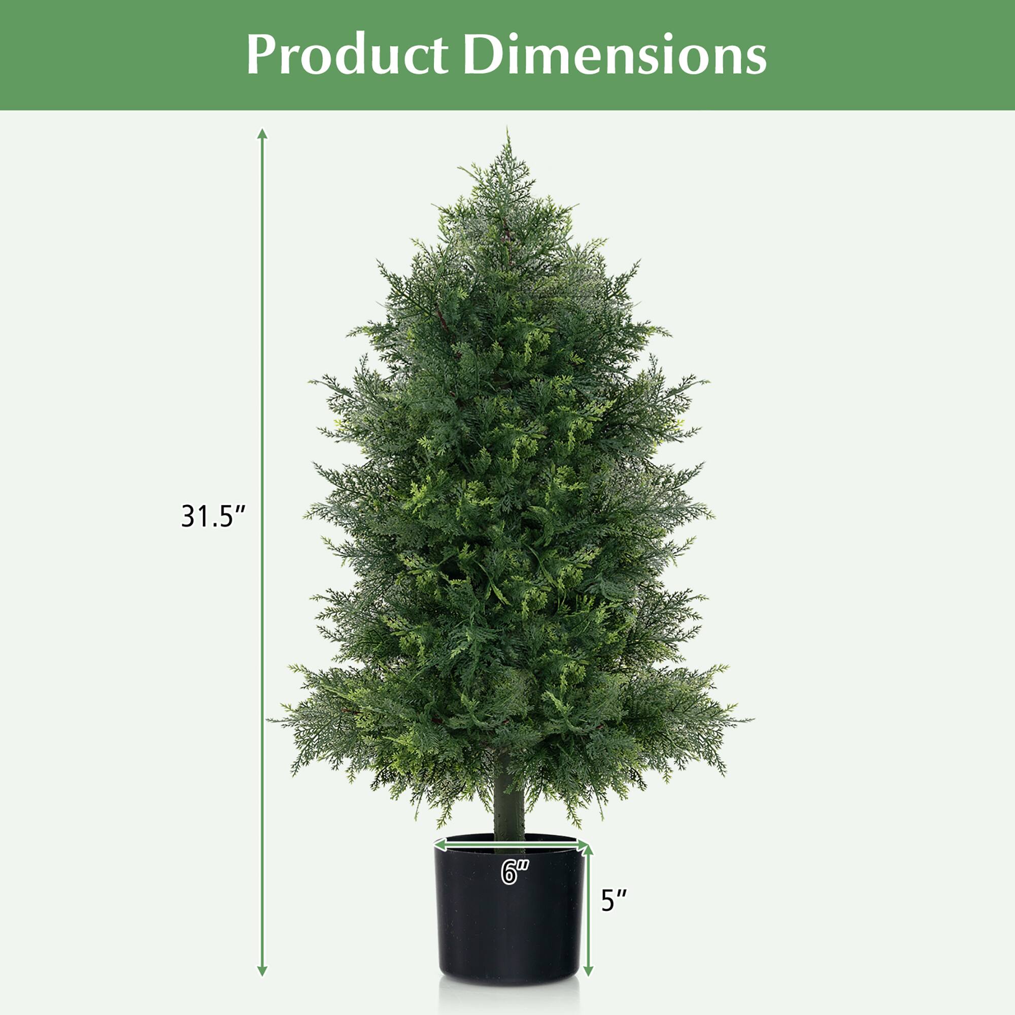 Product Dimensions

31.5"  
6"  
5"