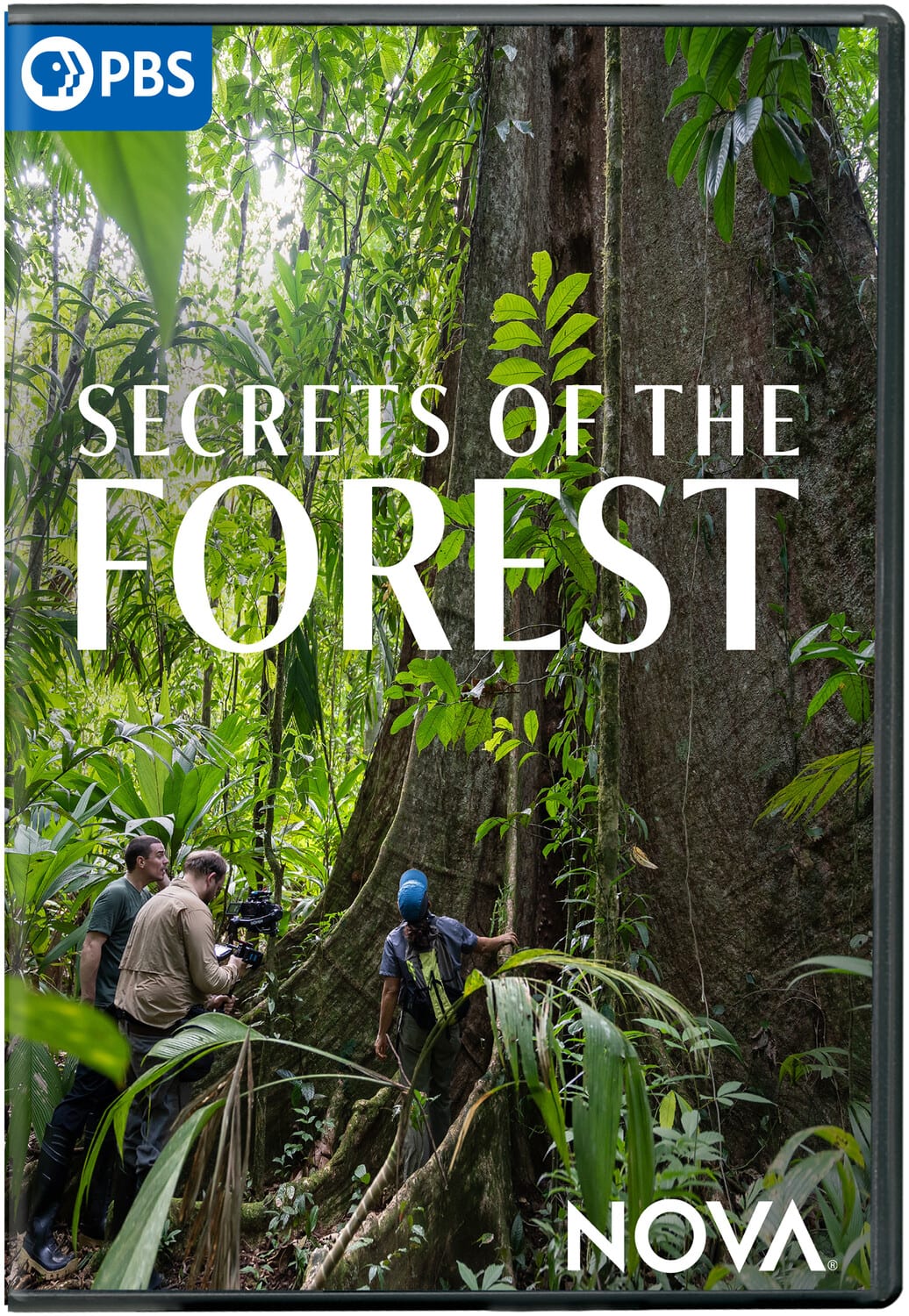 NOVA: Secrets of the Forest  - DVD