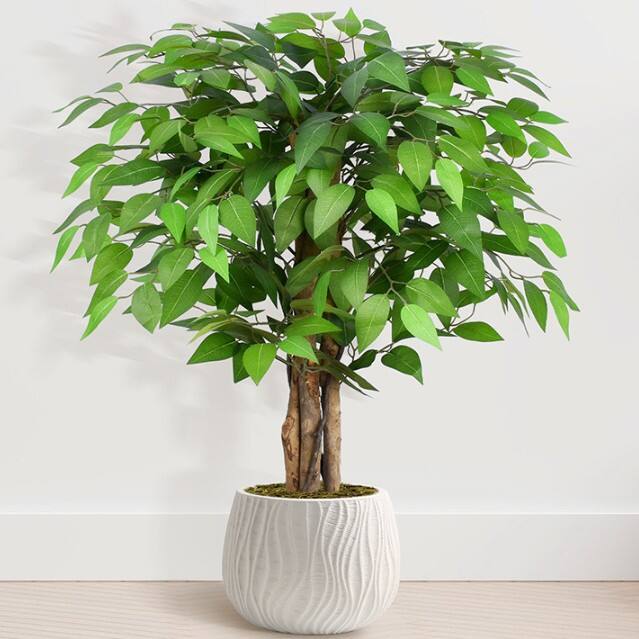 Angle. Oumilen - 3ft Artificial Ficus Tree – Fake Ficus Plant with Realistic Leaves, Detachable Design for Indoor Home Decor - Green.