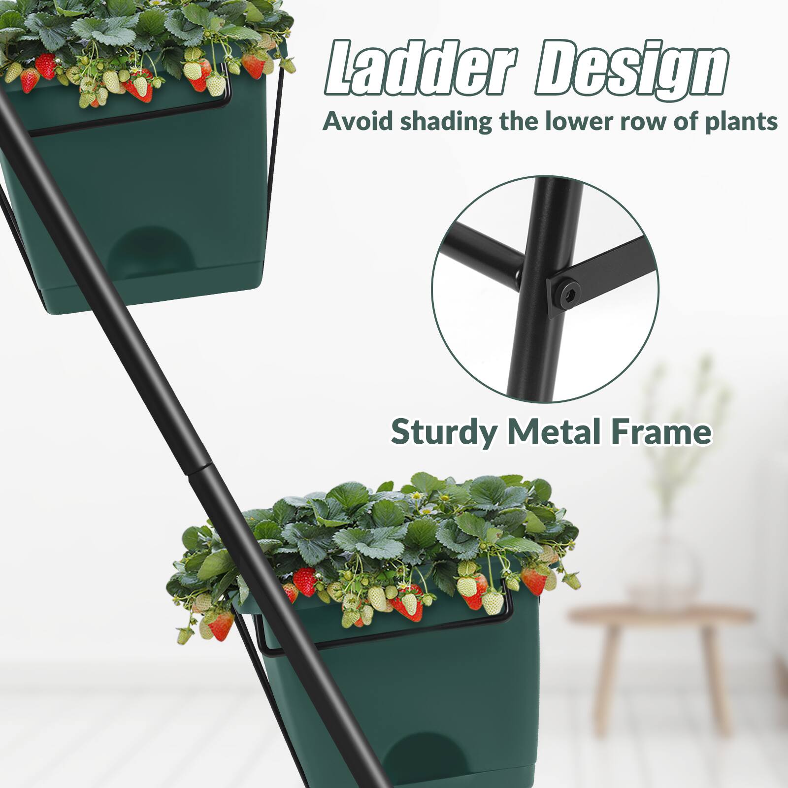 Ladder Design  
Avoid shading the lower row of plants  

Sturdy Metal Frame