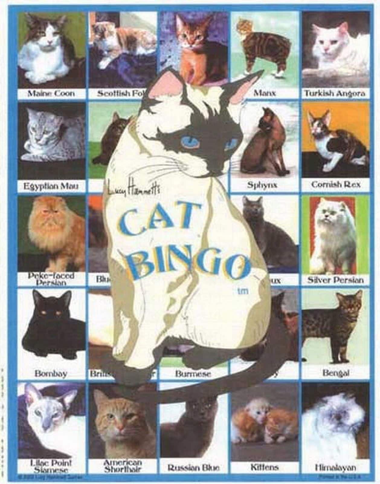 Lucy Hammett Games - Lucy Hammett Cat Bingo Game Breeds, Behaviors, and Facts for Cat Lovers