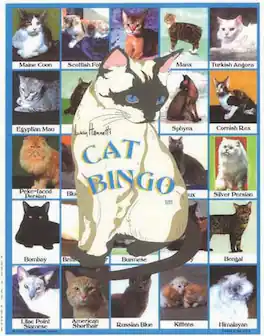 Lucy Hammett Games - Lucy Hammett Cat Bingo Game Breeds, Behaviors, and Facts for Cat Lovers