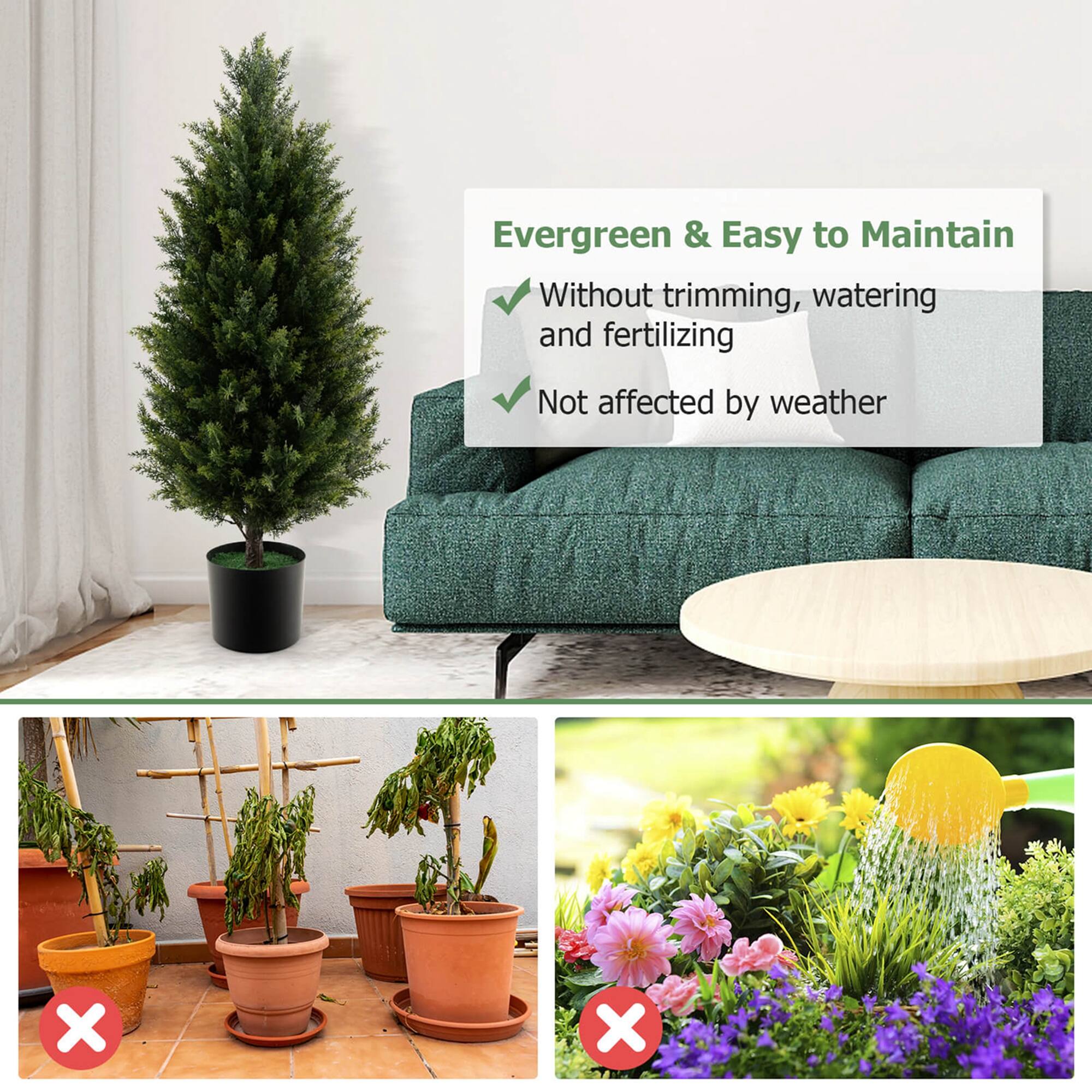 Evergreen & Easy to Maintain

- Without trimming, watering, and fertilizing
- Not affected by weather