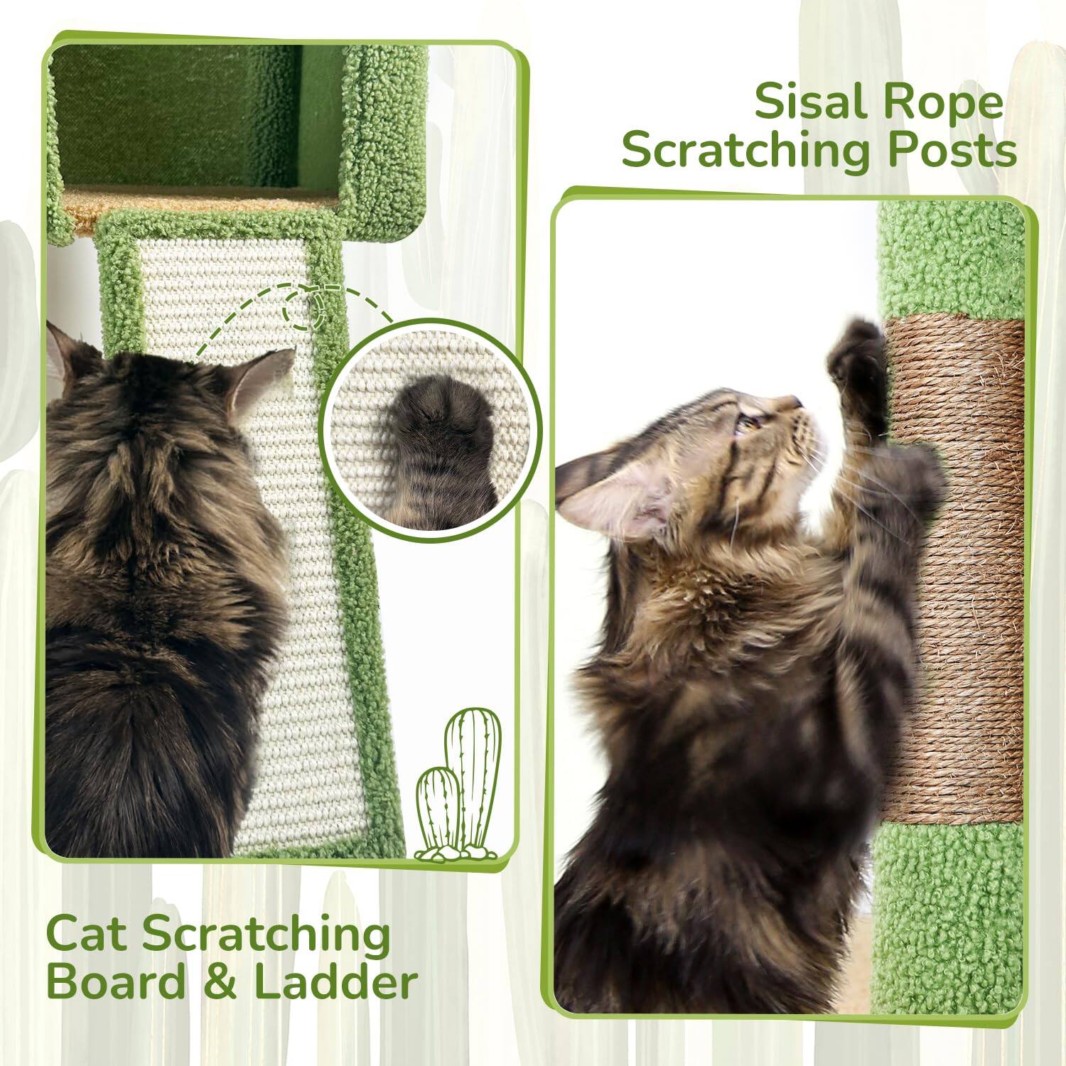 Sisal Rope Scratching Posts

Cat Scratching Board & Ladder