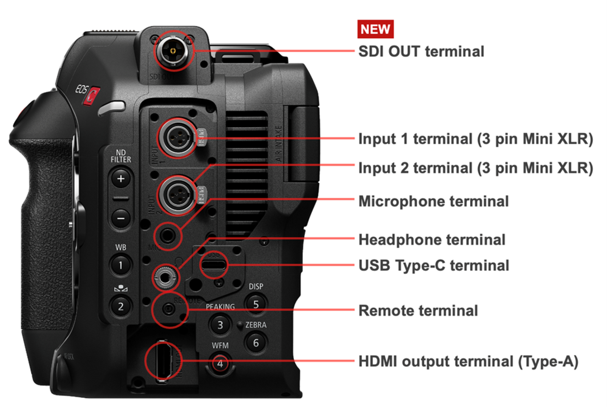 NEW SDI OUT terminal EOS C SDLOUT ND FILTER + - INPUT INPUT PU E PUS AKE INI AIR Input 1 terminal (3 pin Mini XLR) Input 2 terminal (3 pin Mini XLR) Microphone terminal WB 1 MI DISP Headphone terminal USB Type-C terminal 2 REVOTE 5 PEAKING 3 ZEBRA Remote terminal F00K WFM 4 6 HDMI output terminal (Typ-A)