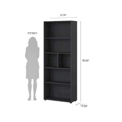31.34"
5'5" (65")
80.59"
13.50"
