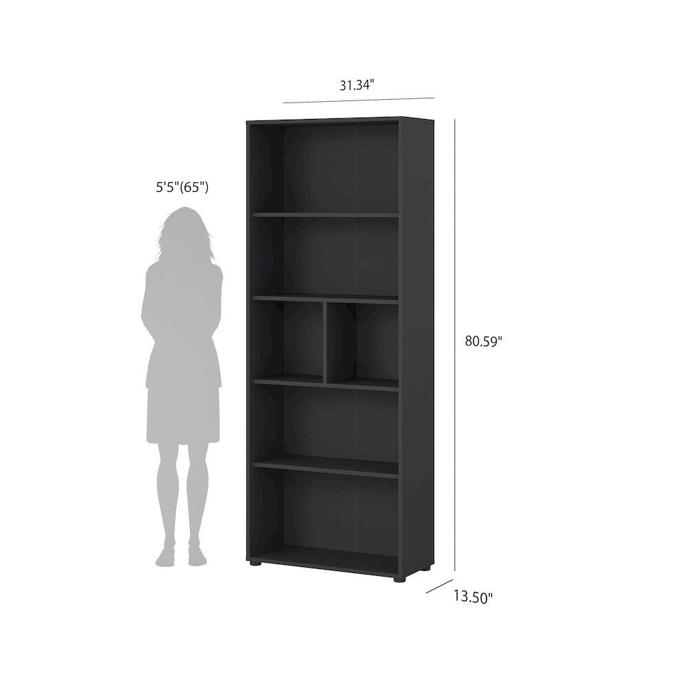31.34"  
5'5" (65")  
80.59"  
13.50"