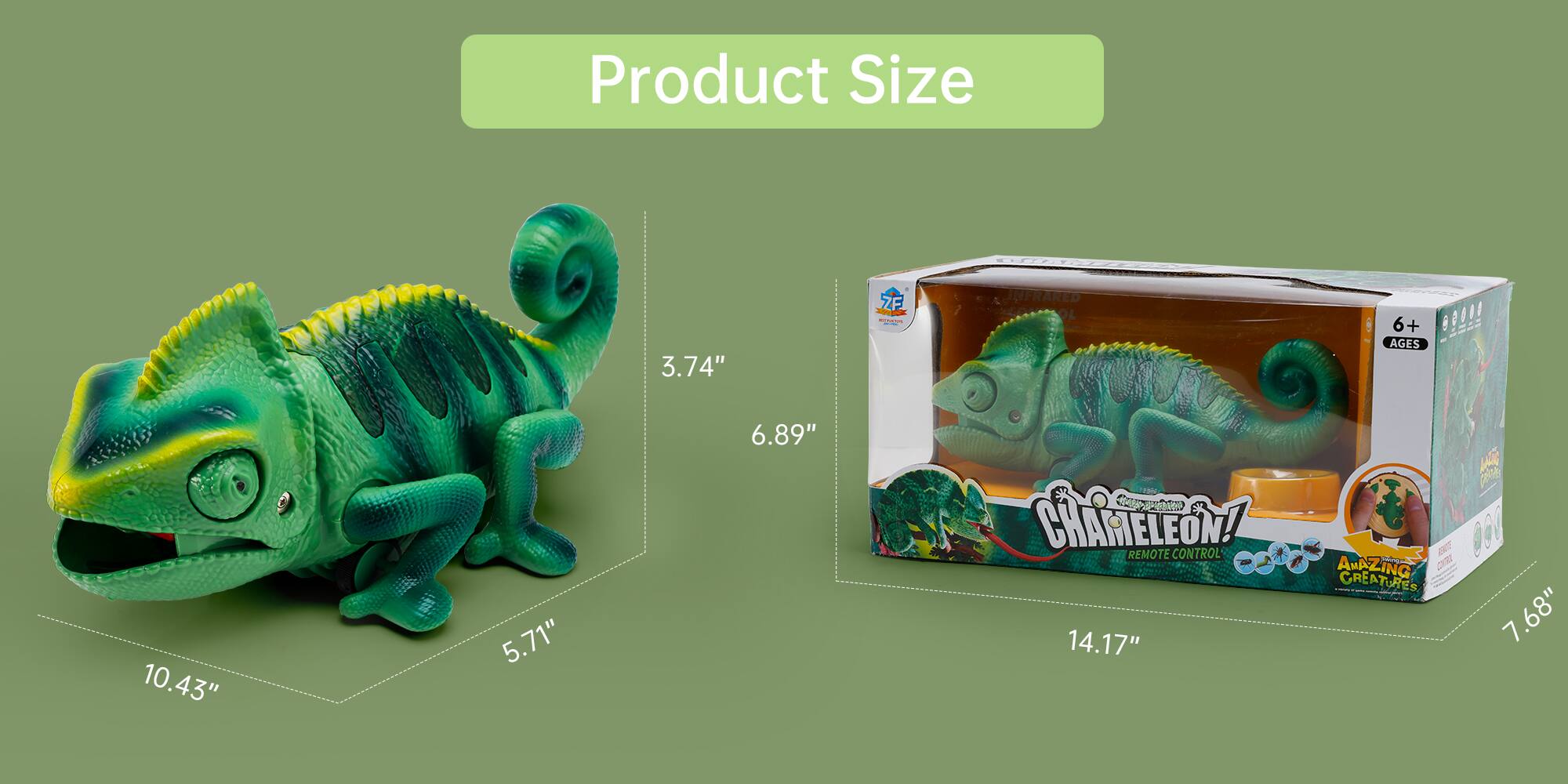 Product Size  
3.74" x 5.71" x 10.43"  

Box Size  
6.89" x 7.68" x 14.17"  

Chameleon!  
Remote Control  
Amazing Creatures