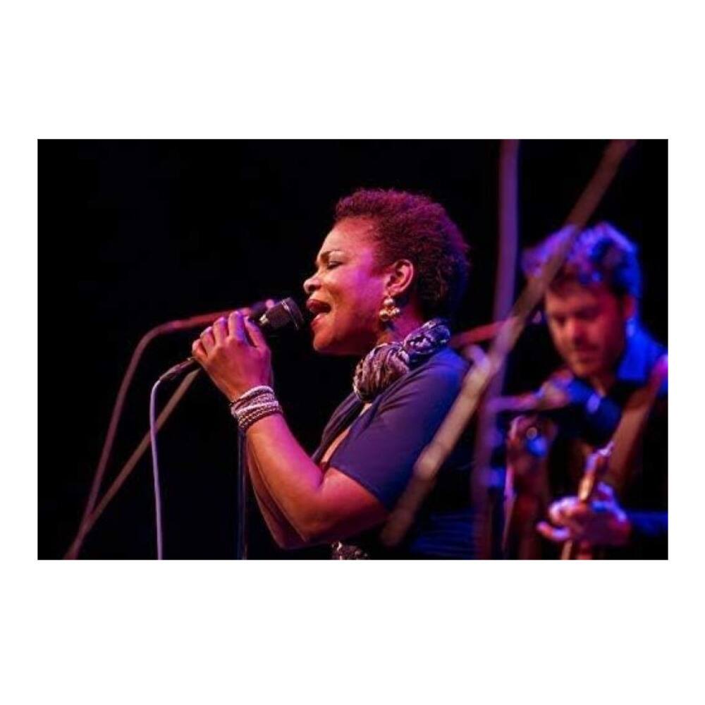 Angle. Electro-Voice - Electro-Voice ND96 Dynamic Supercardioid Vocal Microphone (Black).