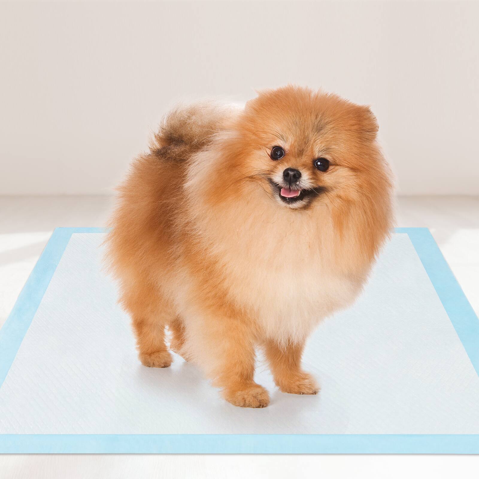 Alt View 1. Gymax - Gymax 24''x 17''(300 Counts) Dog Potty Training Pads Puppy Pee Pads w/ Quick-Drying - Blue.