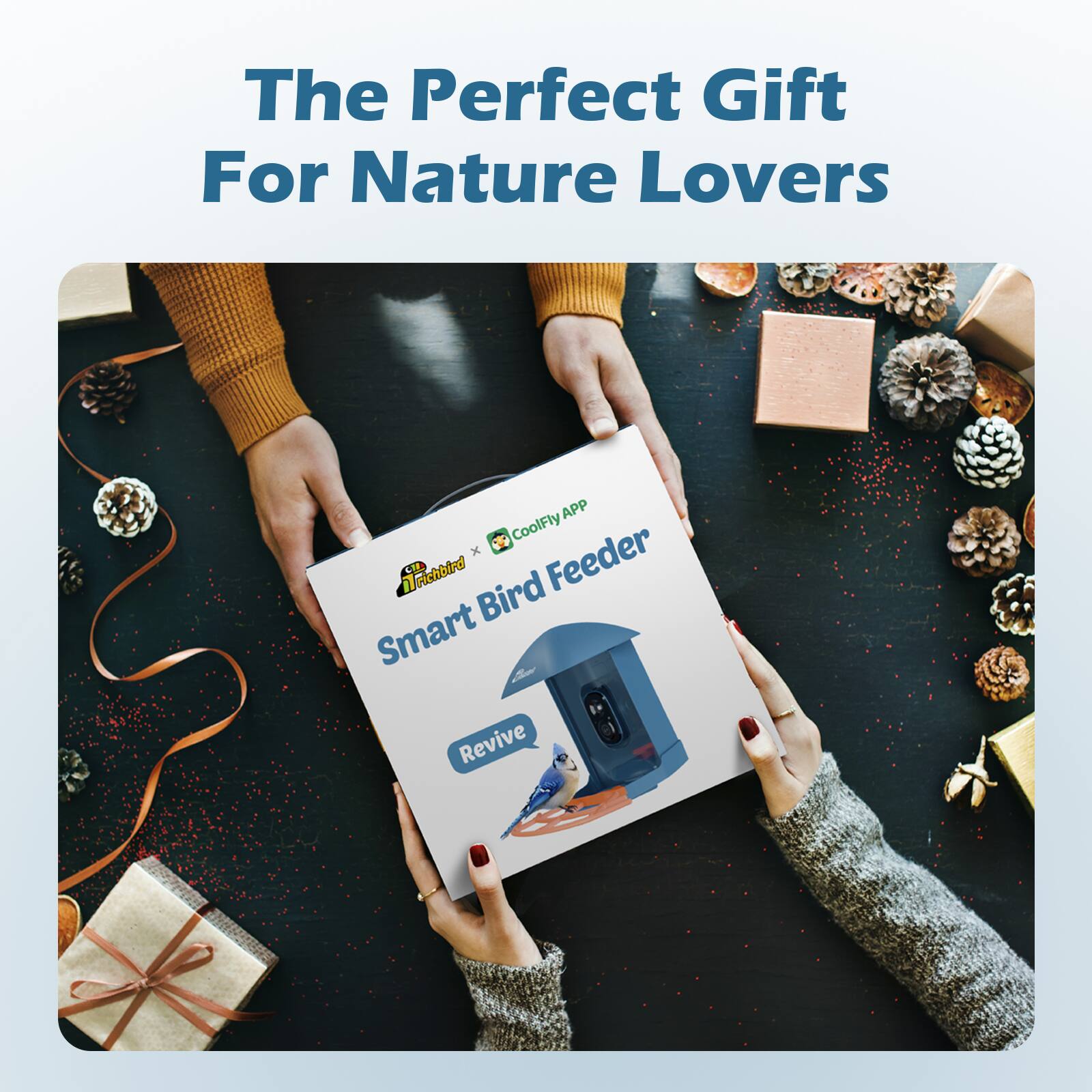 The Perfect Gift For Nature Lovers

CoolFly APP x Trichbird L1 Bird Smart Feeder Revive