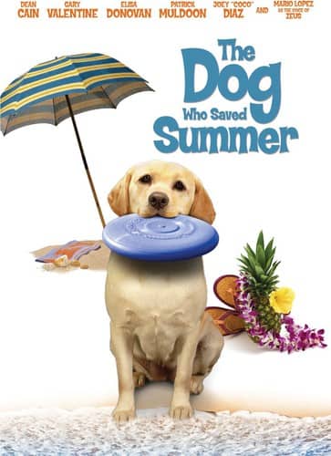 The Dog Who Saved Summer  - DVD
