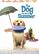 Front. The Dog Who Saved Summer - DVD.