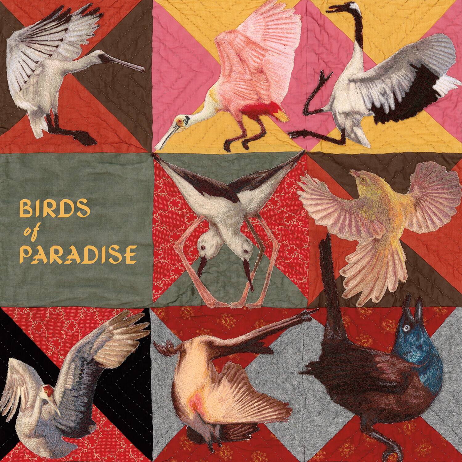 Thomas Dollbaum - Birds of Paradise - Pink   - VINYL LP price history on PriceWatchPro
