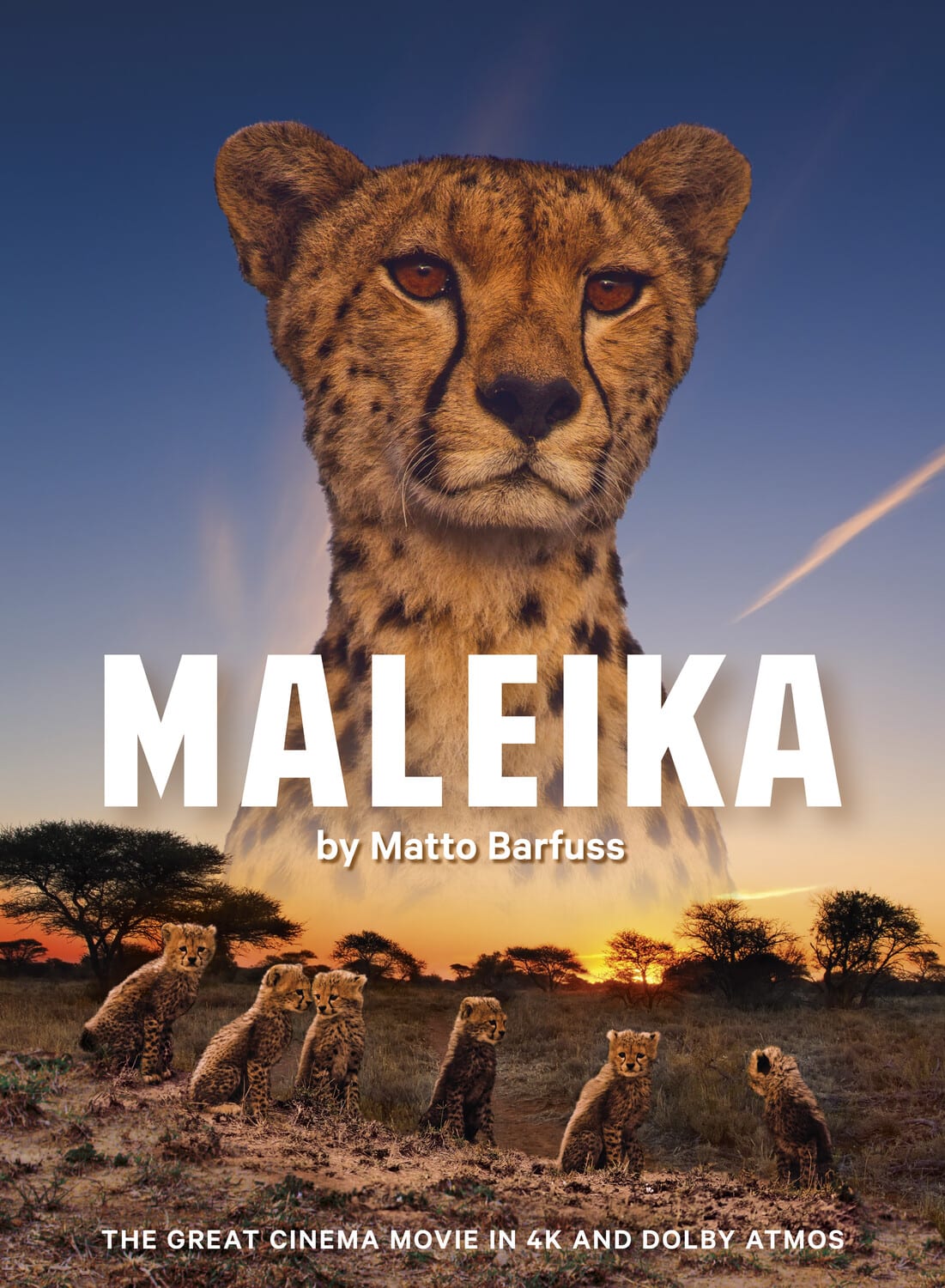 Maleika  - DVD