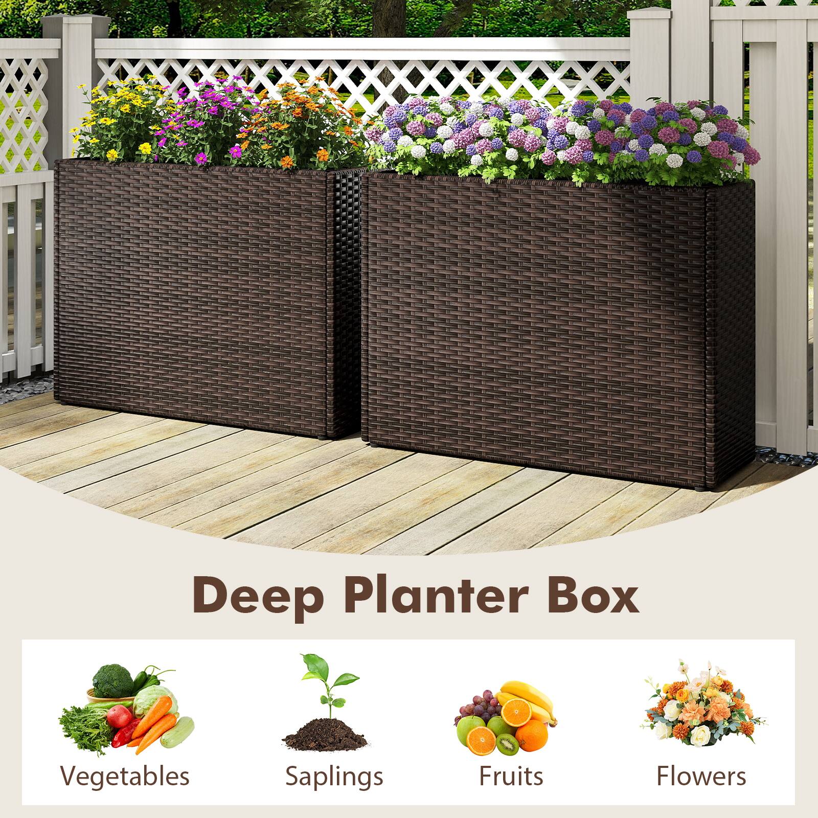 Deep Planter Box

Vegetables  
Saplings  
Fruits  
Flowers