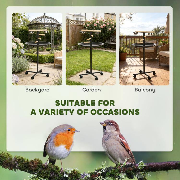 Backyard  
Garden  
Balcony  
SUITABLE FOR A VARIETY OF OCCASIONS