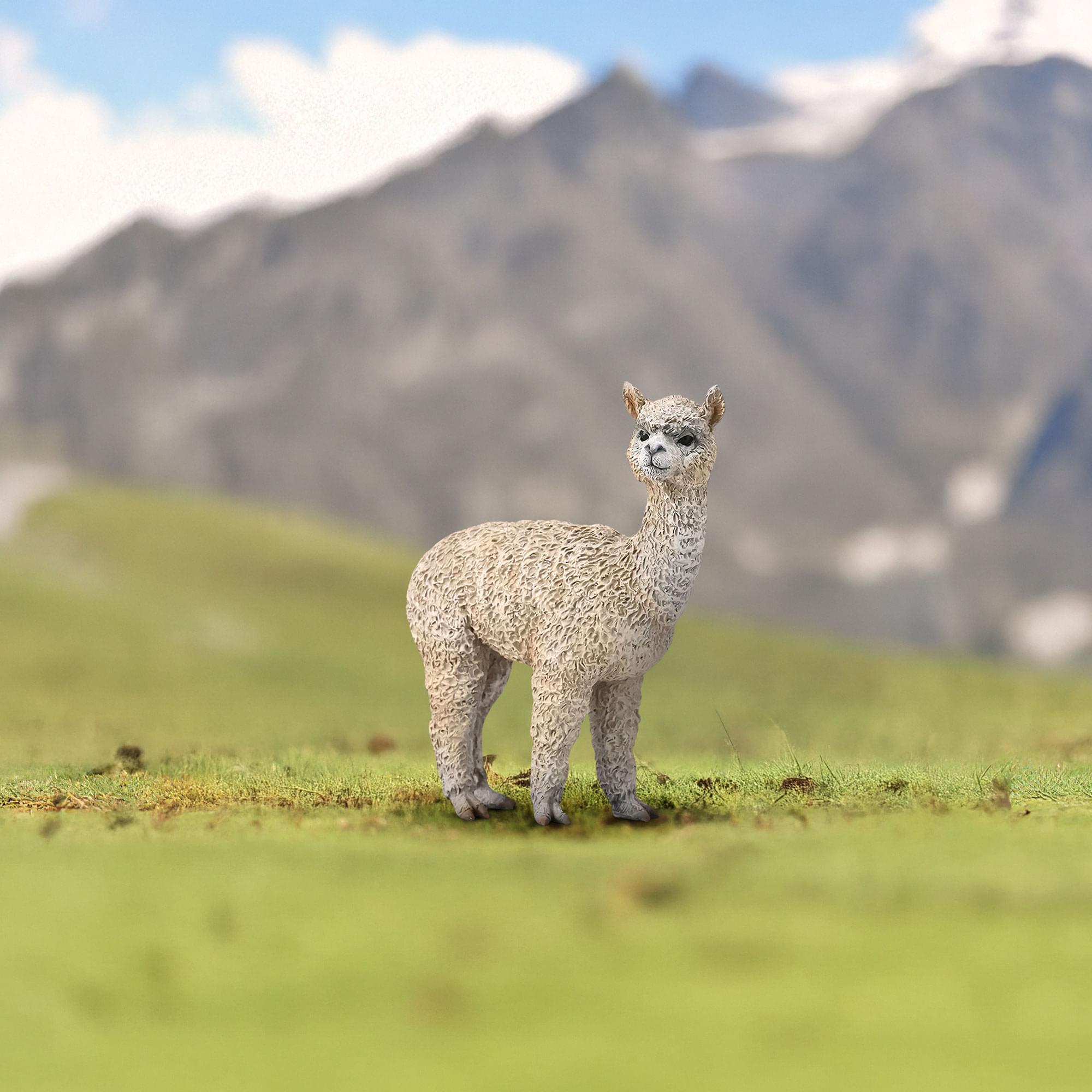 Alt View 10. Breyer - CollectA Farm Life Collection Miniature Figure | Alpaca - White.