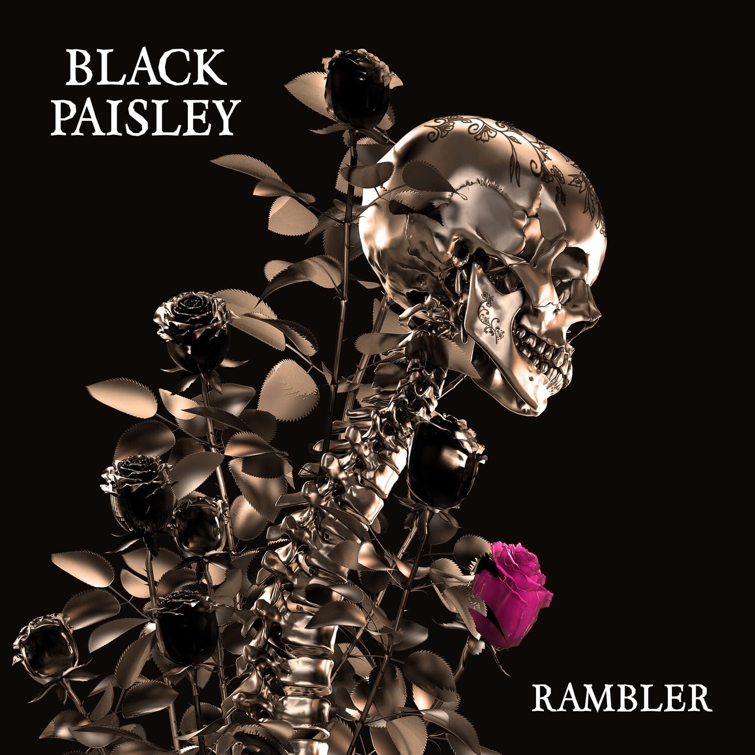 Black Paisley - Rambler  - COMPACT DISCS