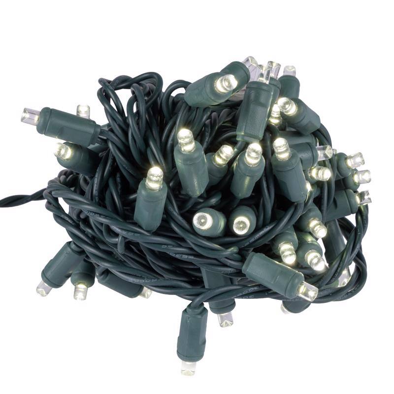 Angle. Celebrations - Celebrations LED Grand Mini Pure White 50 ct String Christmas Lights 25 ft..