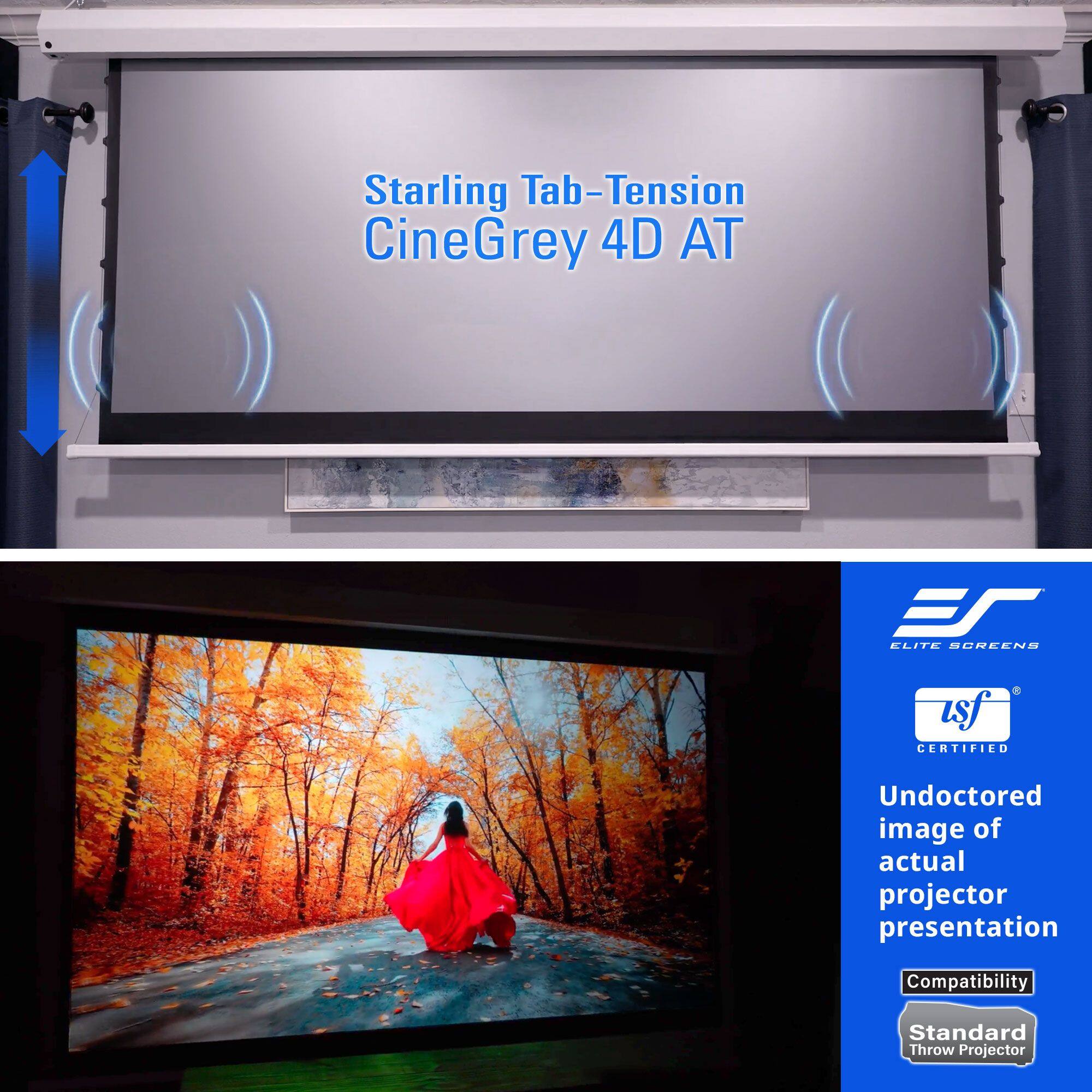 Elite Screens STT110XHD4AT E12 STT110XHD4AT-E12 - Best Buy