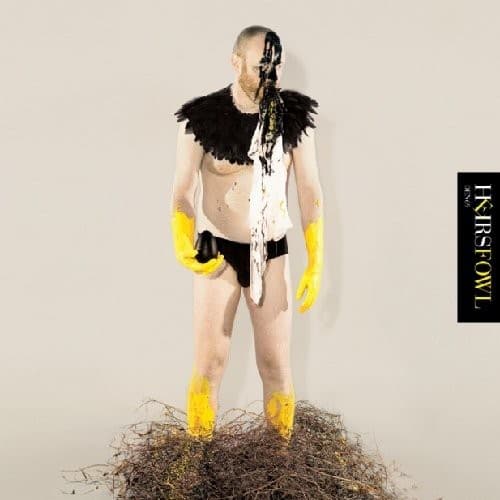 The Heirs - Fowl   - COMPACT DISCS [CD] price history on PriceWatchPro