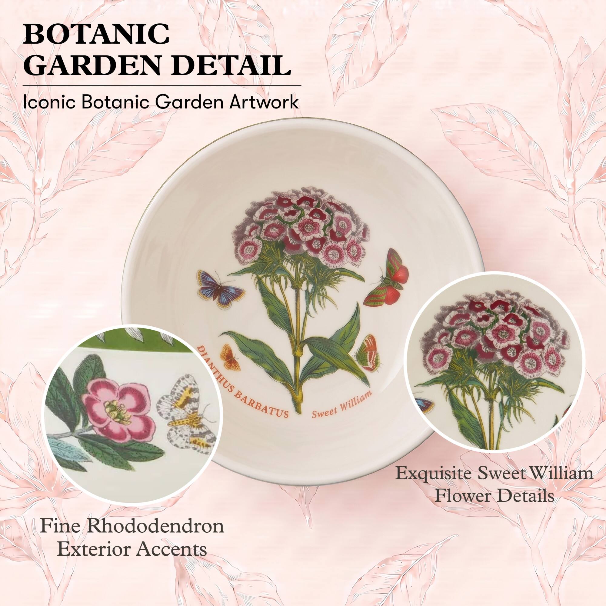 BOTANIC GARDEN DETAIL  
Iconic Botanic Garden Artwork

DIANTHUS BARBATUS  
William Sweet

Exquisite Sweet William Flower Details

Fine Rhododendron Exterior Accents