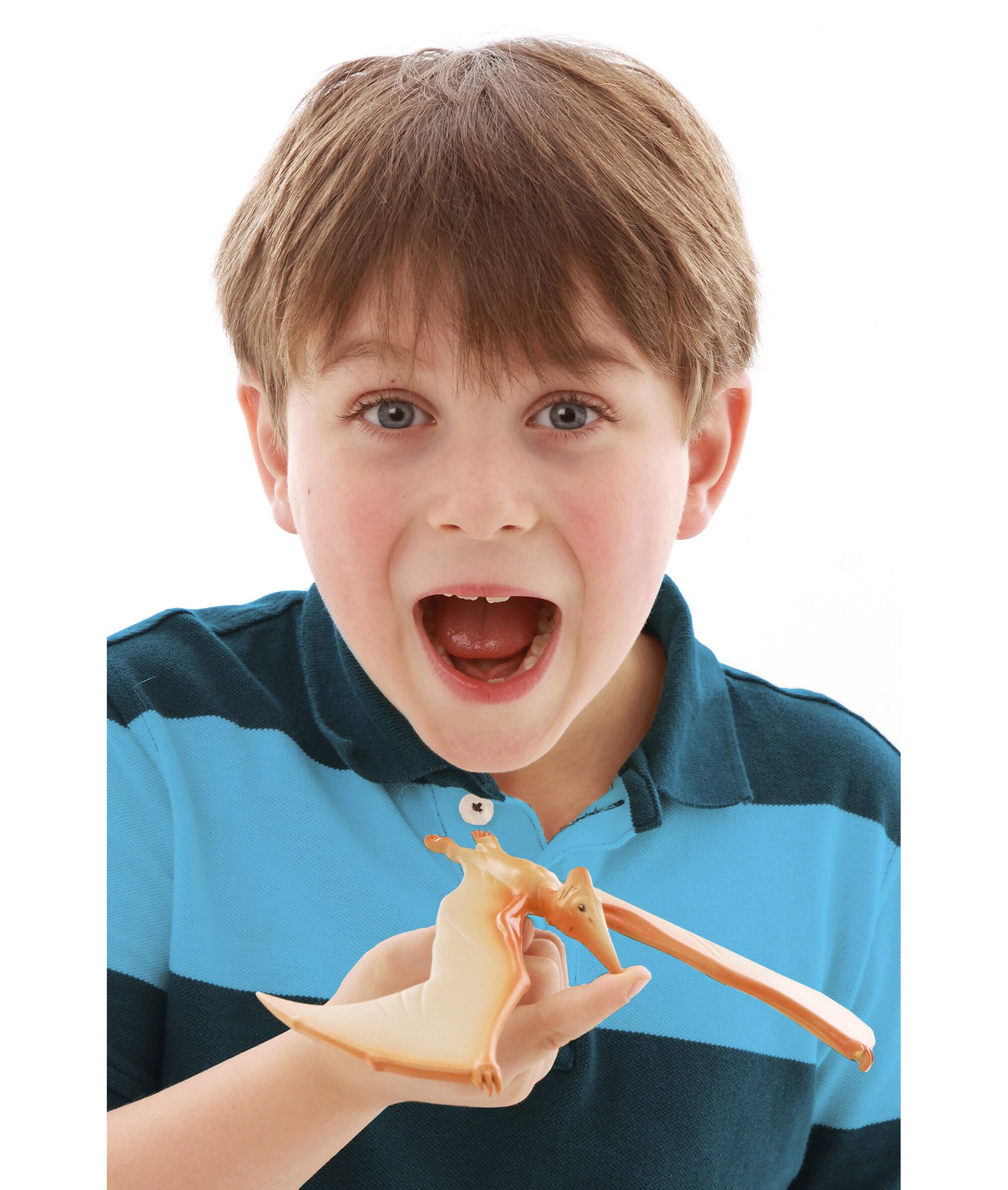 Back. Brainstorm Limited - Brainstorm Toys - Natural History Museum The Amazing Balancing Pteranodon - Gravity Defying.