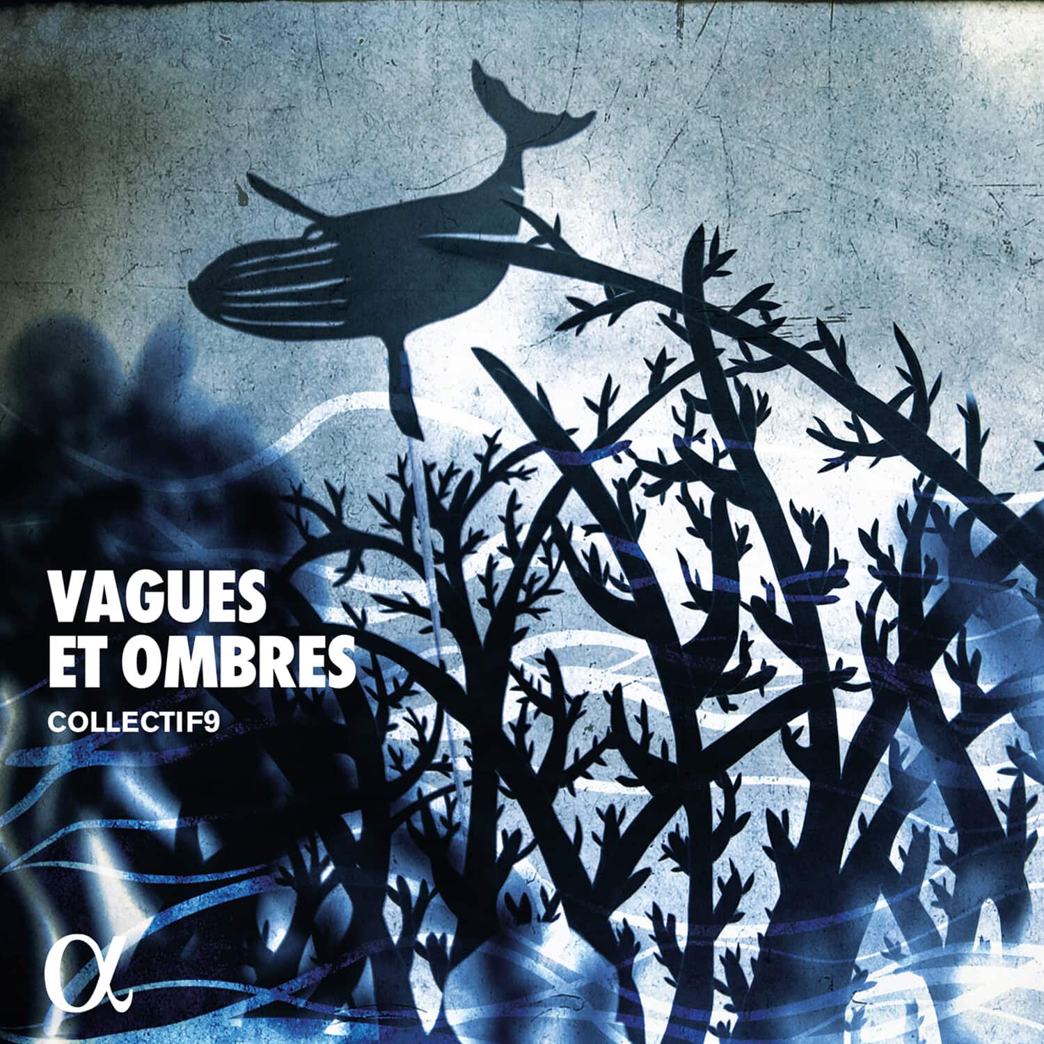 DeBussy - Vagues Et Omb   - COMPACT DISCS [CD] price history on PriceWatchPro