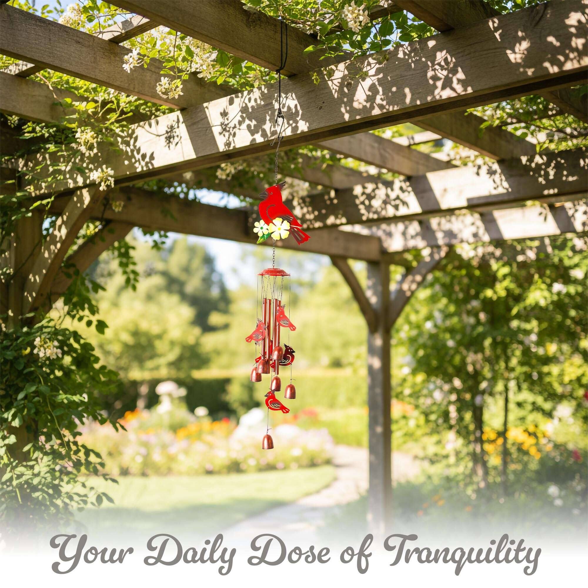 Your Daily Dose of Tranquility