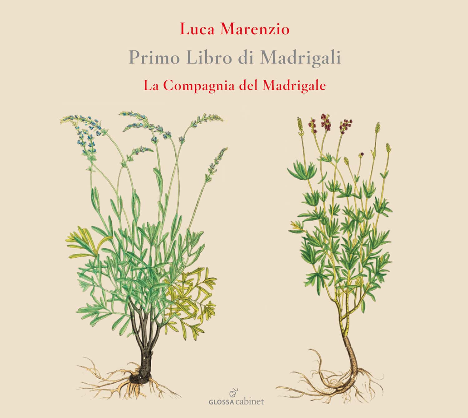Compagnia Del Madrigale - Primo Libro Di Madrigali   - COMPACT DISCS [CD] price history on PriceWatchPro