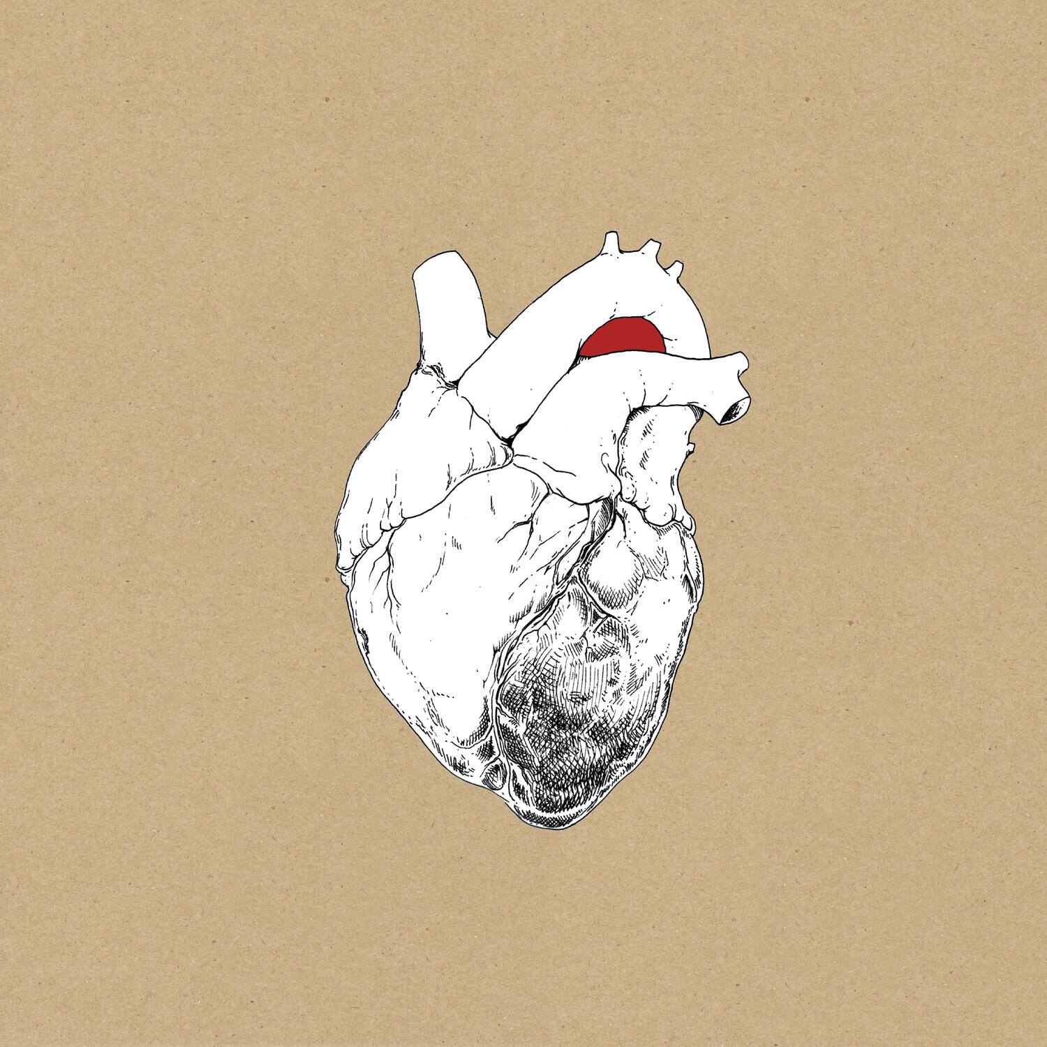 Front. Swans - The Beggar   - VINYL LP.