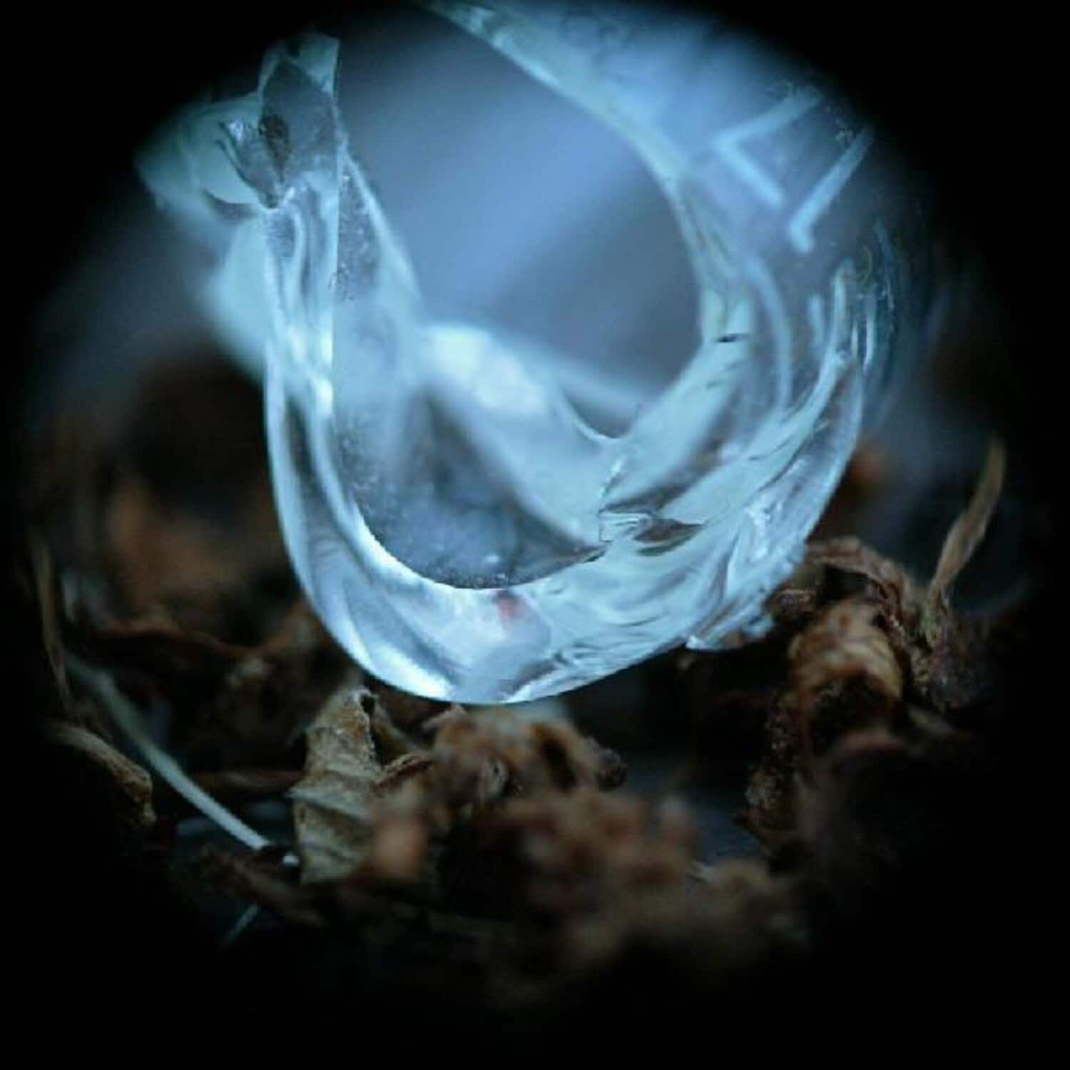 Ossicles - Mantelpiece   - COMPACT DISCS [CD] price history on PriceWatchPro