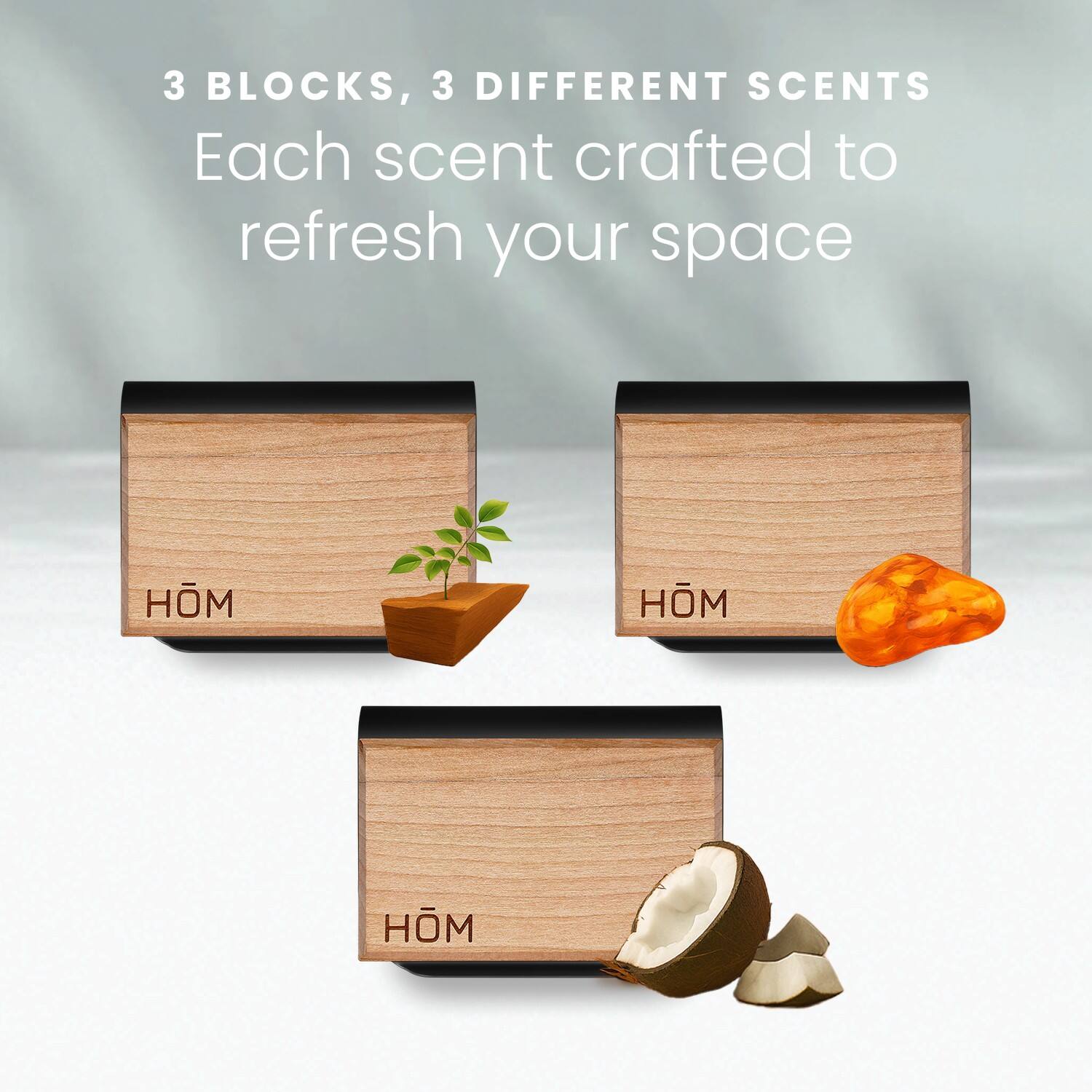 3 BLOCKS, 3 DIFFERENT SCENTS  
Each scent crafted to refresh your space  

HÖM  
HÖM  
HÖM