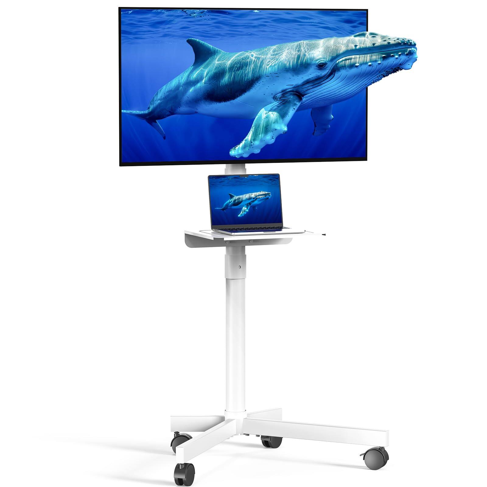 White 23-60 Inch with Shelf