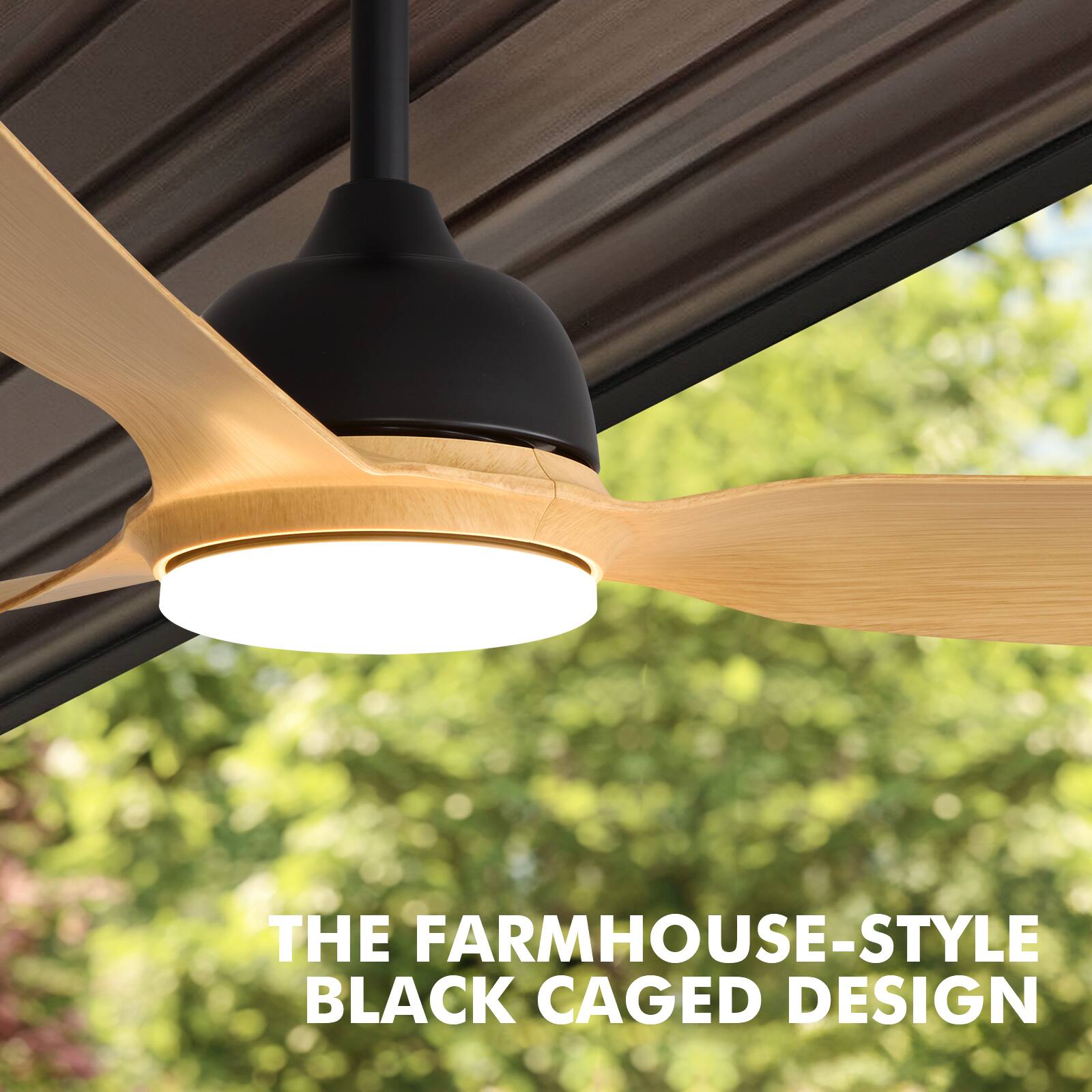THE FARMHOUSE-STYLE BLACK CAGED DESIGN