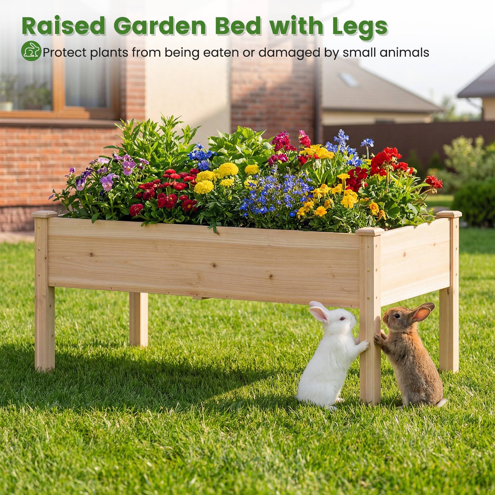 Raised Garden Bed with Legs  
Protect plants from being eaten or damaged by small animals