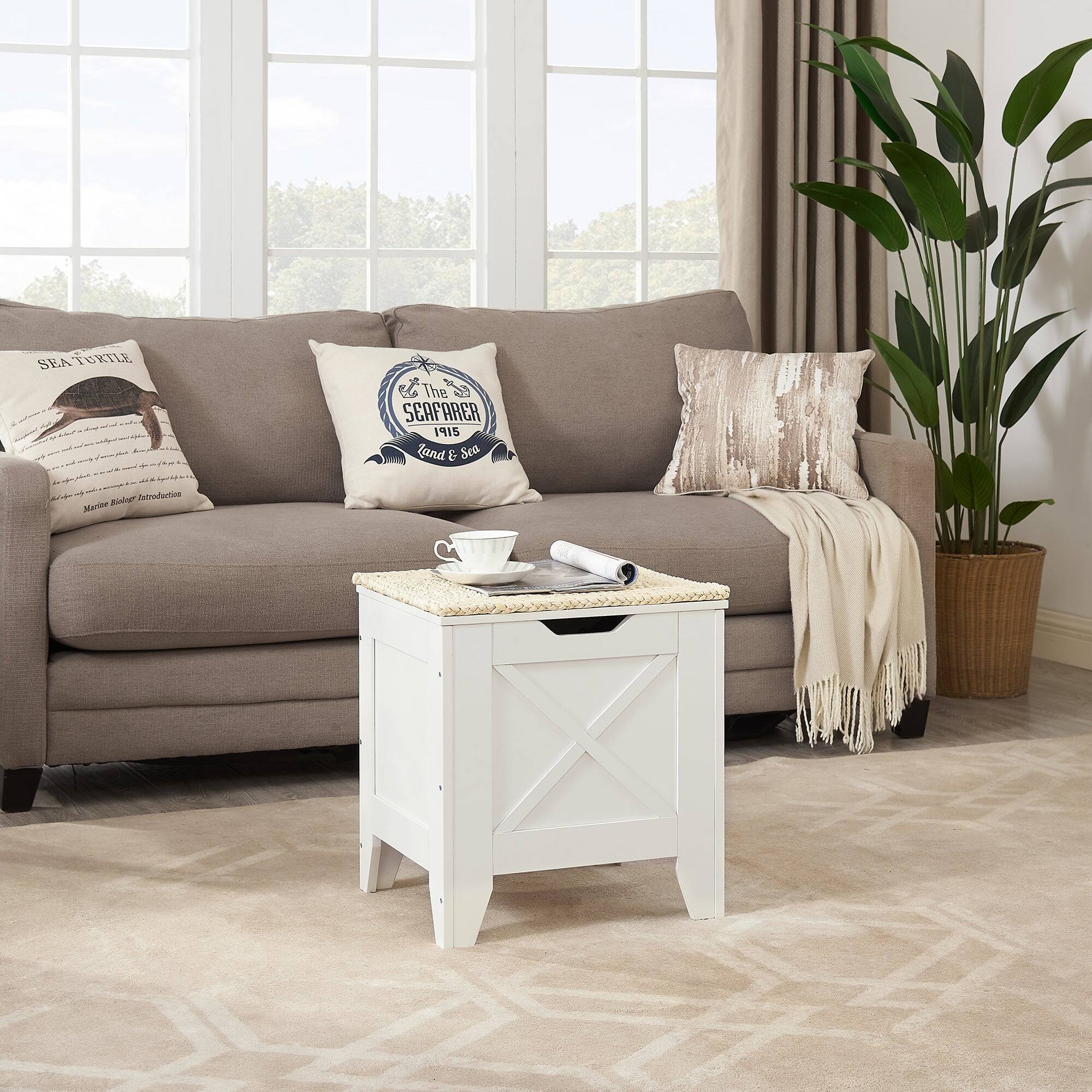 SEA TURTLE  
The SEAFARER  
1915  
Tand & Sea  

Marine Biology Introduction