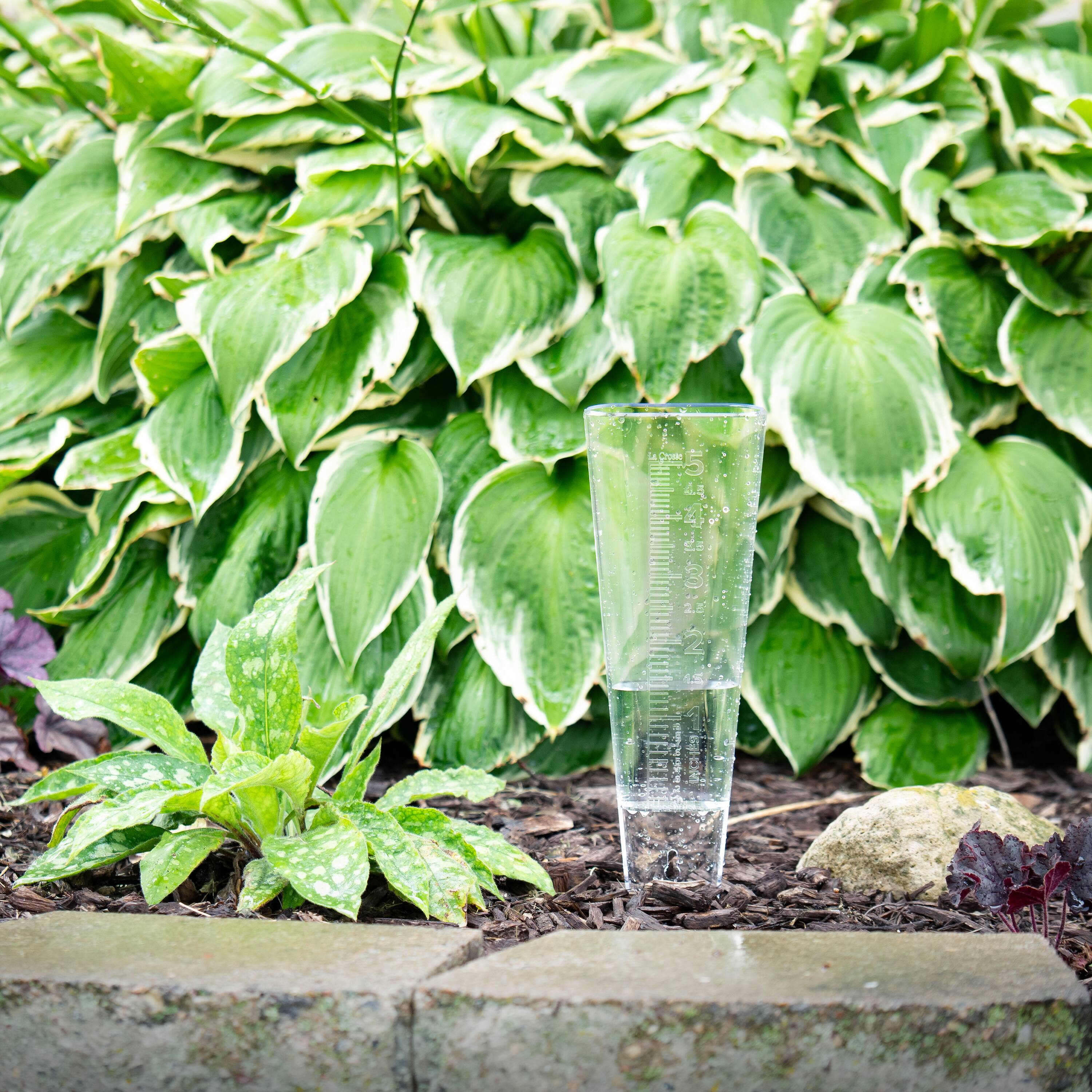 Alt View 2. La Crosse Technology - Clear Plastic 5 Inch Capacity Rain Gauge - Clear.