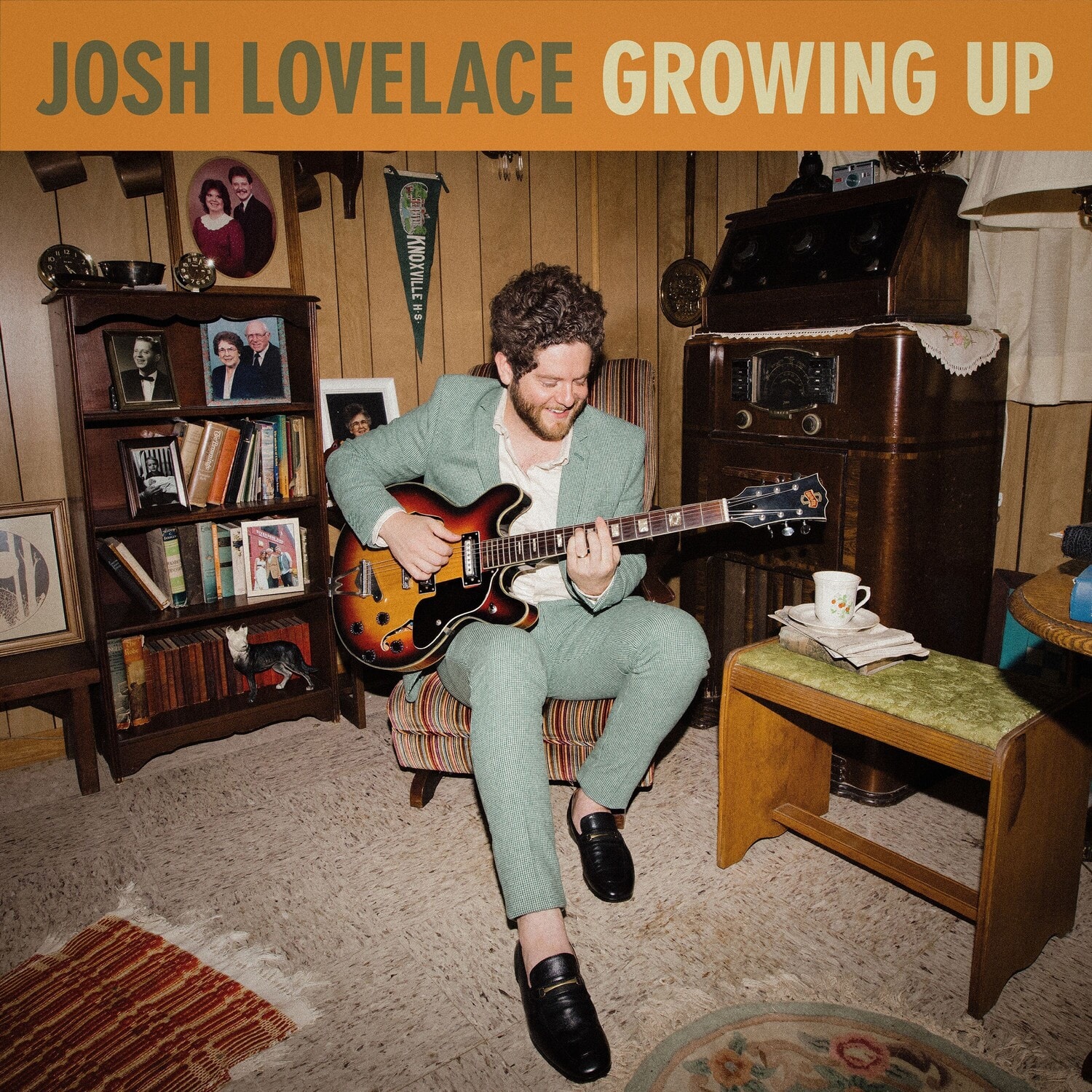 Josh Lovelace - Growing Up   - COMPACT DISCS [CD] price history on PriceWatchPro