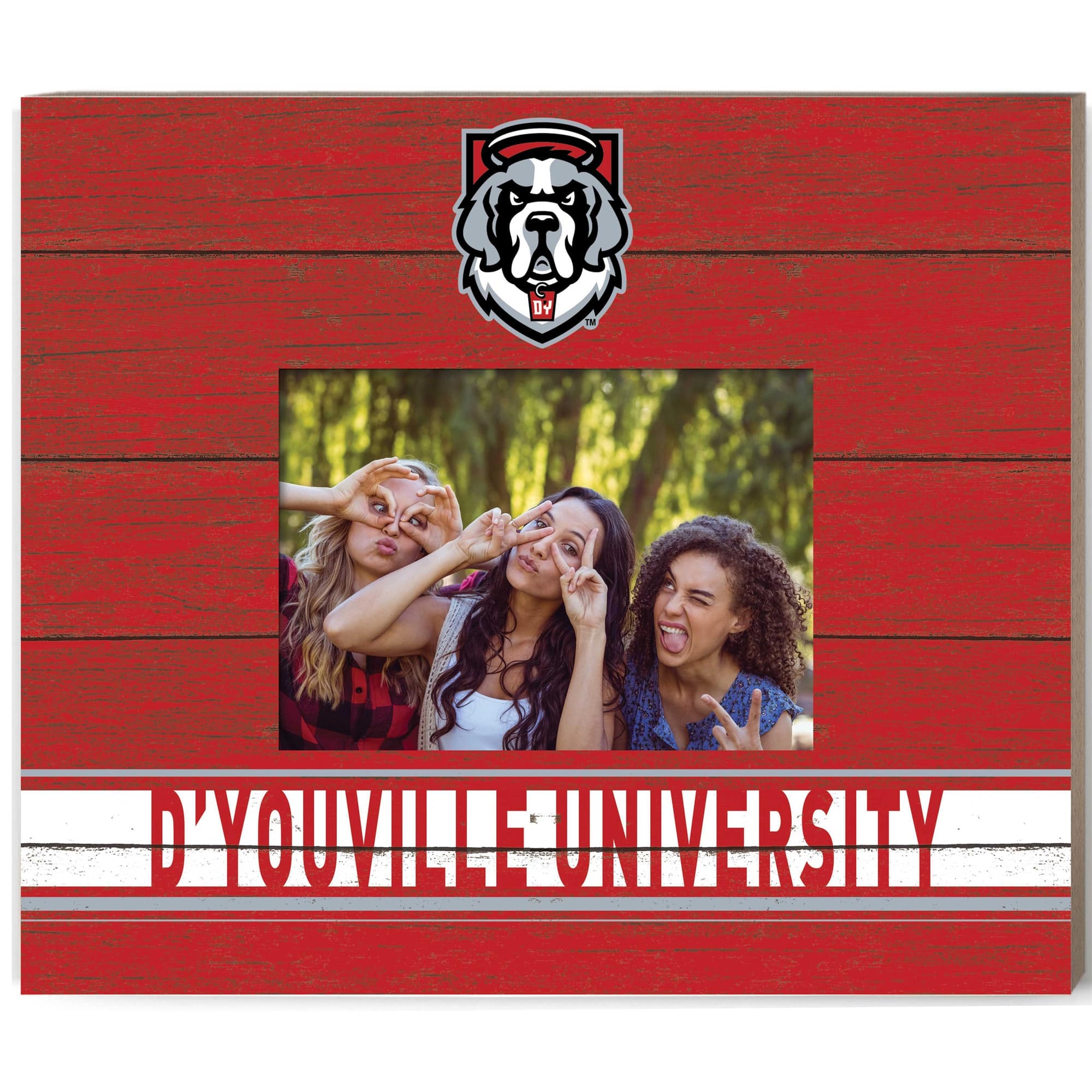 "Jardine - D'youville Saints 11"" x 13"" Team Spirit Scholastic Picture Frame - Red" price history on PriceWatchPro