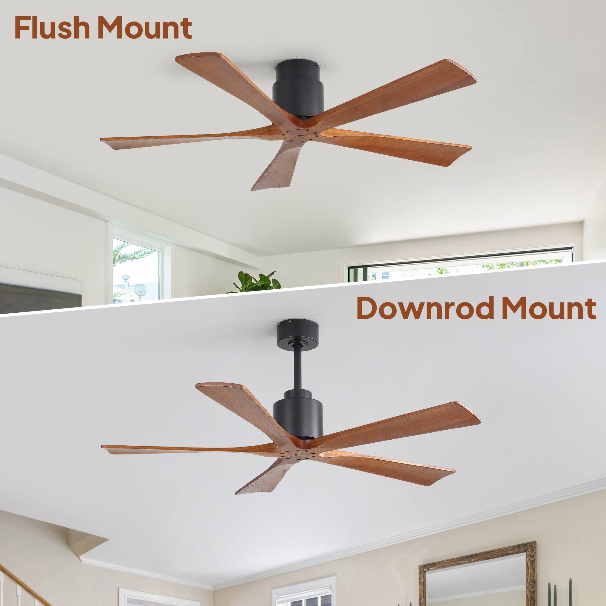 Flush Mount  
Downrod Mount