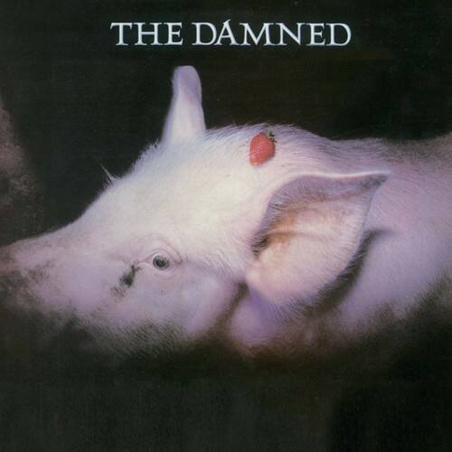 The Damned - Strawberries   - COMPACT DISCS [CD] price history on PriceWatchPro