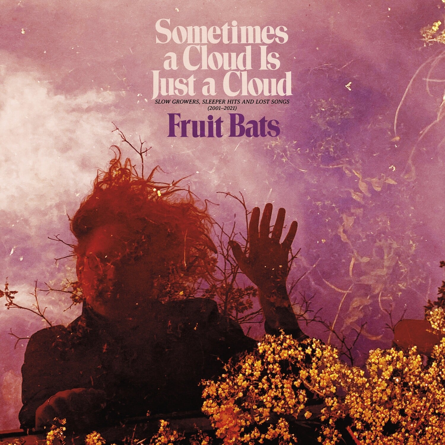 Fruit Bats - Sometimes a Cloud Is Just a Cloud: Slow Growers, Sleeper Hits and Lost Songs (2001–2021)  - VINYL LP