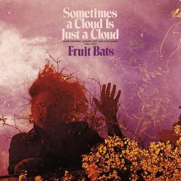 Fruit Bats - Sometimes a Cloud Is Just a Cloud: Slow Growers, Sleeper Hits and Lost Songs - VINYL LP