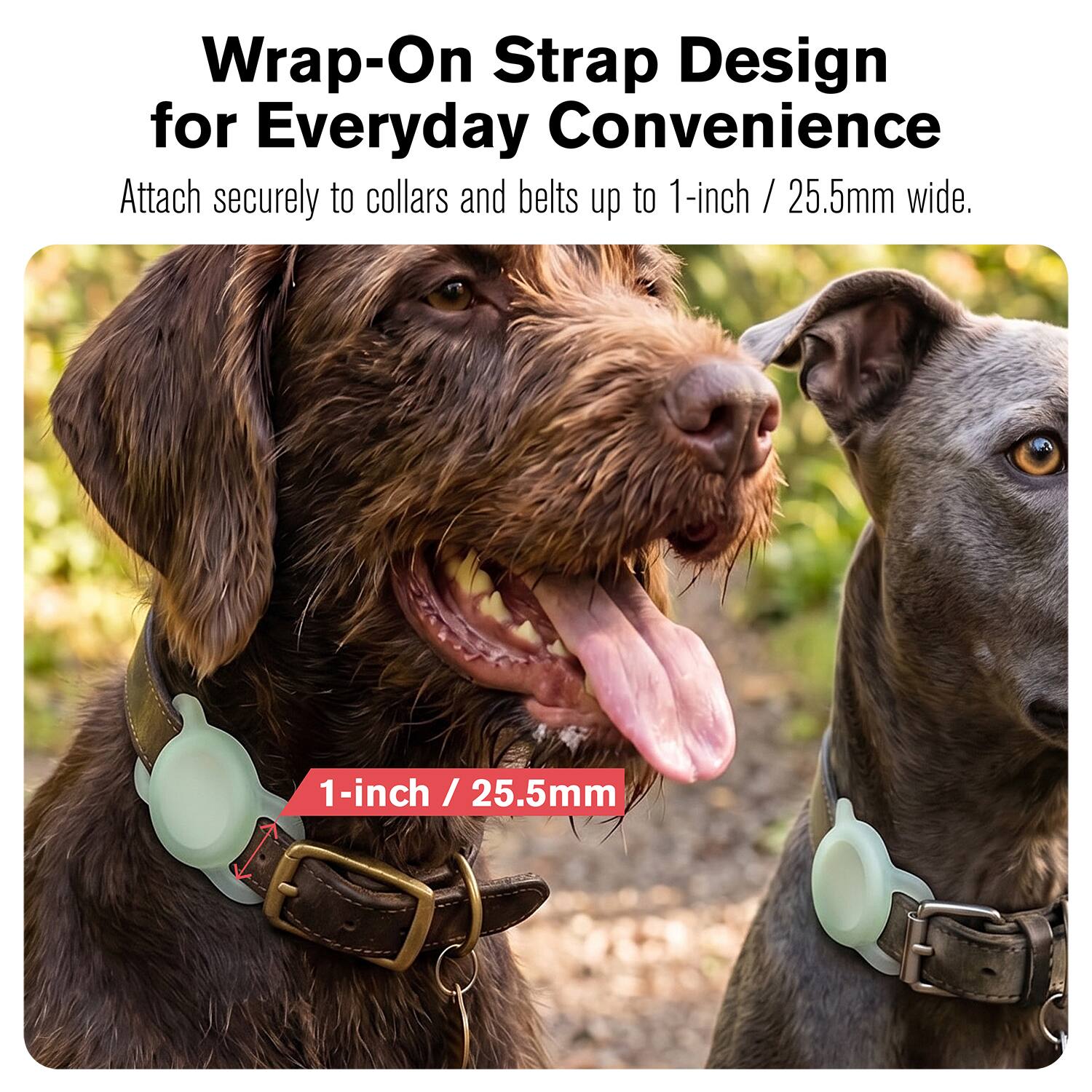 Wrap-On Strap Design for Everyday Convenience  
Attach securely to collars and belts up to 1-inch / 25.5mm wide.  
1-inch / 25.5mm